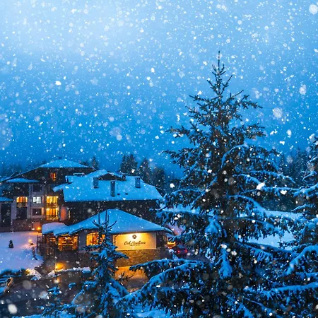 Appartement Oak Paradise