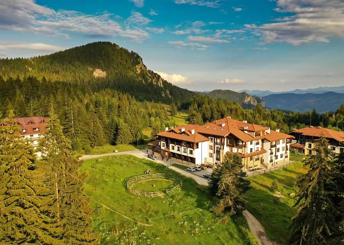 Oak Paradise Apartament