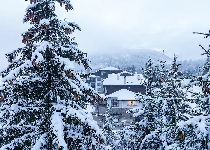 Oak Paradise * Smolan